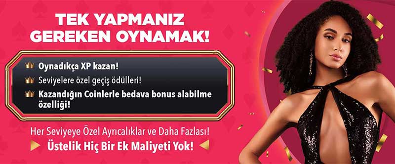 Mavibet Giriş Ekranı